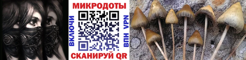 Псилоцибиновые грибы прущие грибы  blacksprut ТОР  Ангарск 